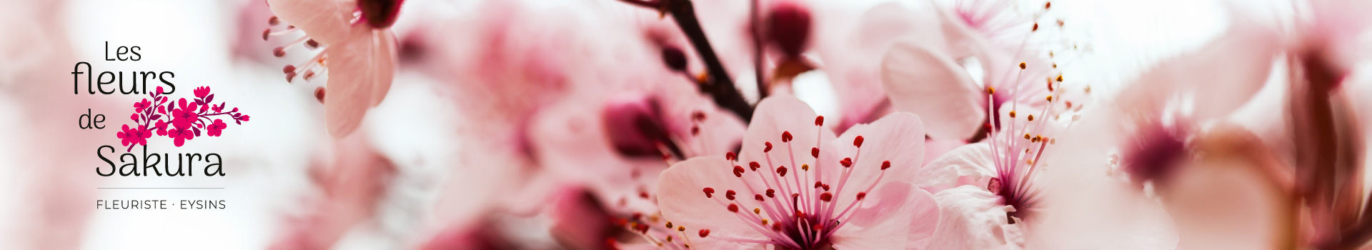 Bandeau Fleurs de Sakura Fleuriste Eysins