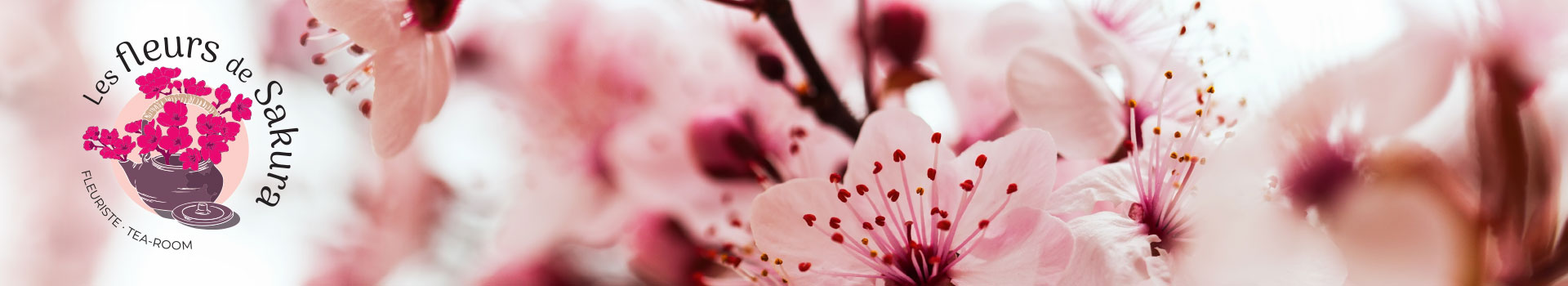 Magasin de fleurs a Eysins Les Fleurs De Sakura